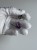 IMG_7444.jpeg